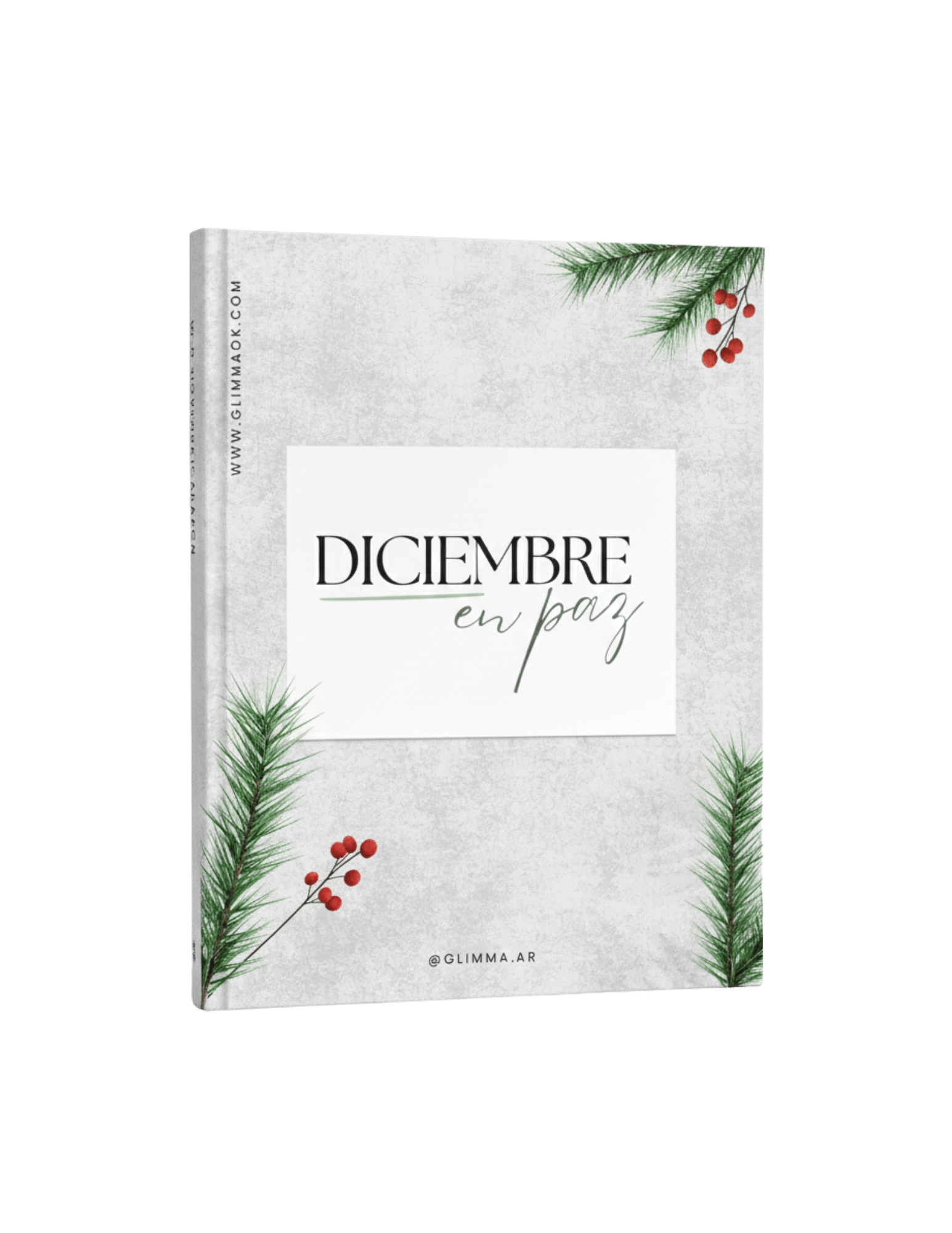 Ebook Diciembre en Paz